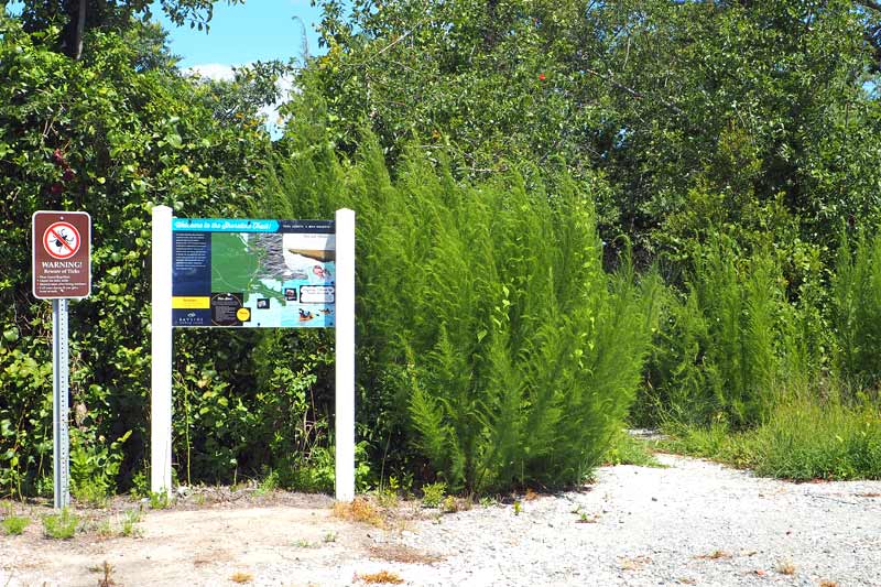 Live Bayside - Entrance to the Shoreline Trail