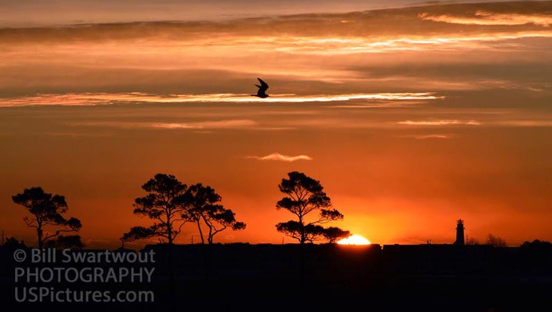 Sunrise Over West Fenwick Island